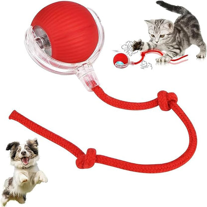 🐾 Smart Rolling Ball Cat Toy with Tail & Bird Sound (USB Rechargeable)